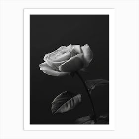 Black And White Rose 1 Art Print