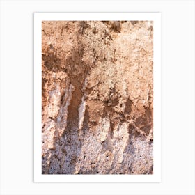Pastel Ground // Ibiza Nature Photography Art Print