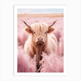Highland Cow In Field With Long Pink Grass 1 Art Print
