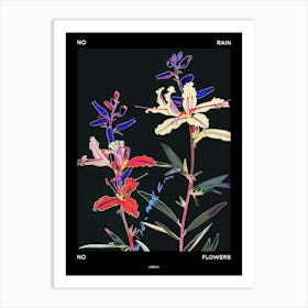 No Rain No Flowers Poster Lobelia 2 Art Print