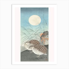 Two Quails At Full Moon (1900 1936), Ohara Koson Art Print