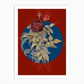Vintage Botanical One Hundred Leaved Rose on Circle Blue on Red n.0142 Art Print