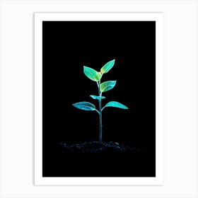 Plant Growing In The Dark 14 Art Print