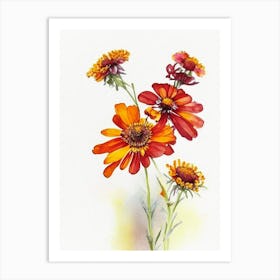 Helenium Wildflower Watercolour Art Print