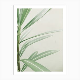 Eucalyptus Plant 2 Art Print