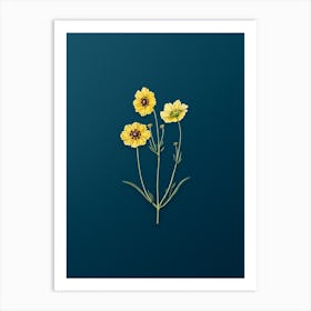 Vintage Perennial Dyer's Coreopsis Flower Botanical Art on Teal Blue n.0378 Art Print