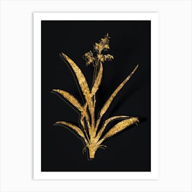 Vintage Flax Lilies Botanical in Gold on Black n.0073 Art Print