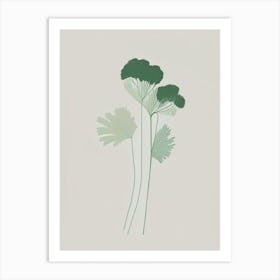 Chervil Herb Simplicity Art Print