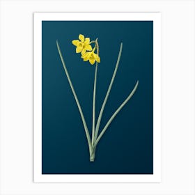 Vintage Narcissus Odorus Botanical Art on Teal Blue n.0483 Art Print