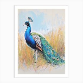 Peacock Walking Through The Grass 1 Art Print