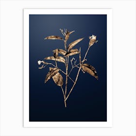 Gold Botanical Maranta Arundinacea on Midnight Navy n.0783 Art Print