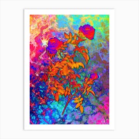 Rose of the Hedges Botanical in Acid Neon Pink Green and Blue n.0193 Art Print