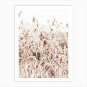 Wild Reeds Art Print