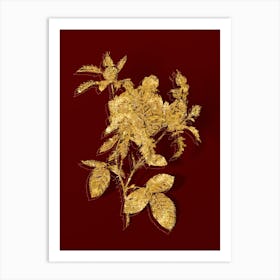 Vintage Cabbage Rose Botanical in Gold on Red n.0466 Art Print