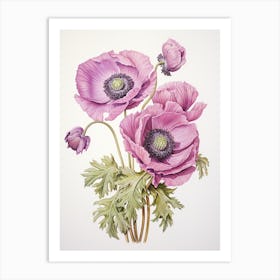Anemones Flower Vintage Botanical 0 Art Print