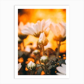 Poster Flower Art Print 19 Art Print