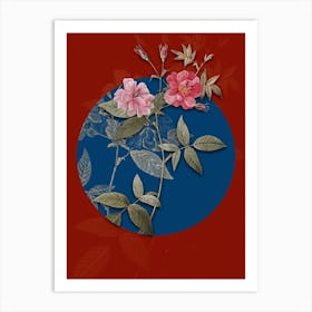 Vintage Botanical Hudson Rosehip on Circle Blue on Red n.0216 Art Print