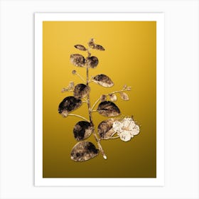 Gold Botanical Caper Plant on Mango Yellow n.1700 Art Print