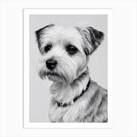 Dandie Dinmont Terrier B&W Pencil Dog Art Print