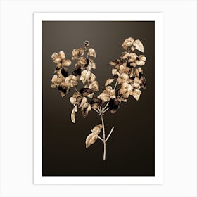 Gold Botanical Platilobium on Chocolate Brown n.2356 Art Print