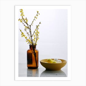 Forsythia 1 Art Print