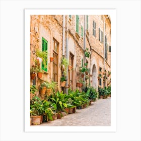 Beautiful street at the mediterranean village of Valldemossa on Majorca Spain. Walk through the fiesta-filled streets and admire the history and culture of this famous landmark. The potted plants and flowers add a touch of Mediterranean elegance to the Spanish architecture. Art Print