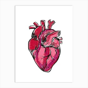 Human Heart Illustration 1 Art Print