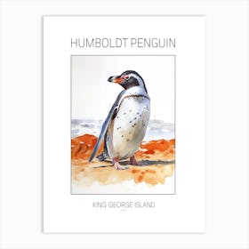 Humboldt Penguin King George Island Watercolour Painting 4 Poster Art Print