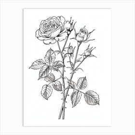 Roses Sketch 31 Art Print
