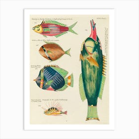 Colourful And Surreal Illustrations Of Fishes Found In Moluccas (Indonesia) And The East Indies, Louis Renard(28) Art Print
