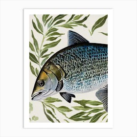 Black Sea Bass Vintage Graphic Watercolour Art Print