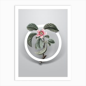 Vintage Chinese Quince Minimalist Floral Geometric Circle on Soft Gray Art Print