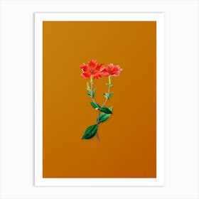 Vintage Bunge's Lychnis Flower Botanical on Sunset Orange n.0944 Art Print