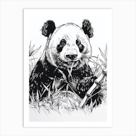 Giant Panda Eating Bamboo Ink Illustration 2 Art Print
