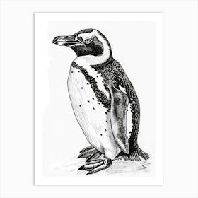 Emperor Penguin Staring Curiously 3 Art Print