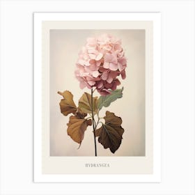 Floral Illustration Hydrangea 4 Poster Art Print