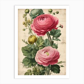 Pink Carnations Art Print