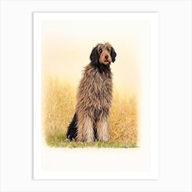 Bergamasco Sheepdog Illustration Dog Art Print