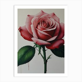 Rose Picture Art Print