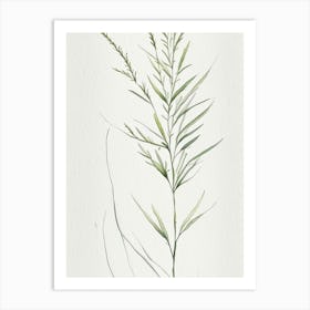 White Willow Herb Minimalist Watercolour 3 Art Print