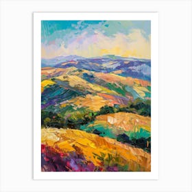 California Landscape 1 Art Print