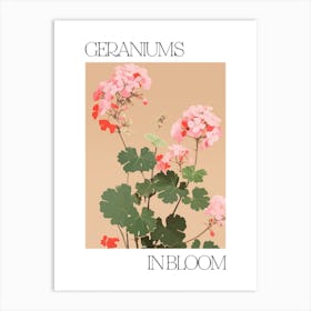 Geraniums In Bloom Flowers Bold Illustration 3 Art Print