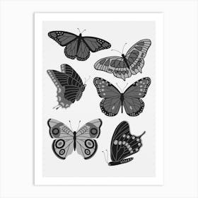 Texas Butterflies   Black And White Art Print