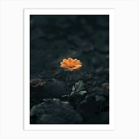 Flower In The Dark 65 Art Print