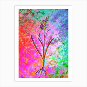 Ixia Secunda Botanical in Acid Neon Pink Green and Blue n.0217 Art Print