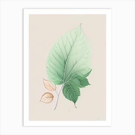 Mint Leaf Contemporary Art Print
