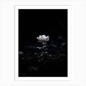 Flower In The Dark 29 Art Print