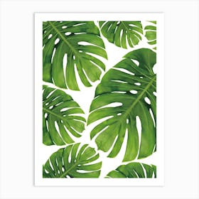 Monstera Leaves 6 Art Print