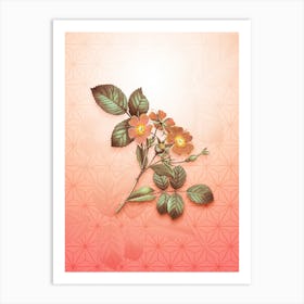 Redleaf Rose Vintage Botanical in Peach Fuzz Asanoha Star Pattern n.0043 Art Print