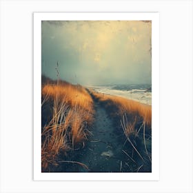 Path To The Beach Art Print